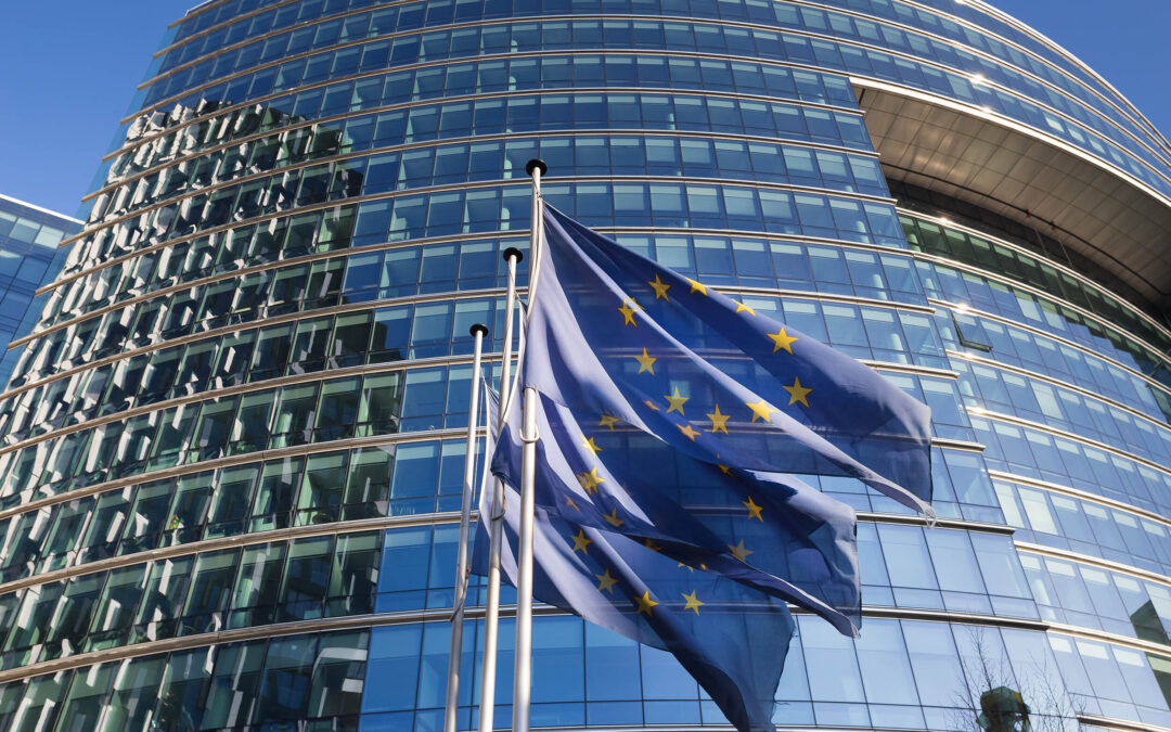 Leading Universities publish their opinion about Next Framework Research Program (2028-2035)- FP10