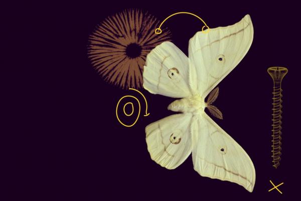 MSCA: EU to invest €95M in co-financing researcher training  