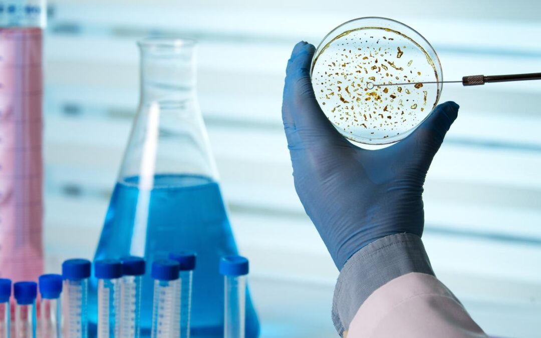 Commission opens call to pilot European fellowship scheme for researchers at risk