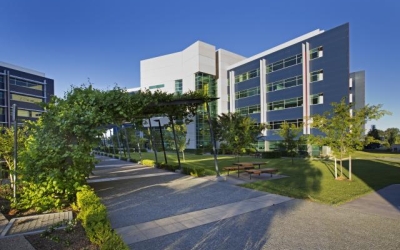 Australian Research Council bans AI in assessment