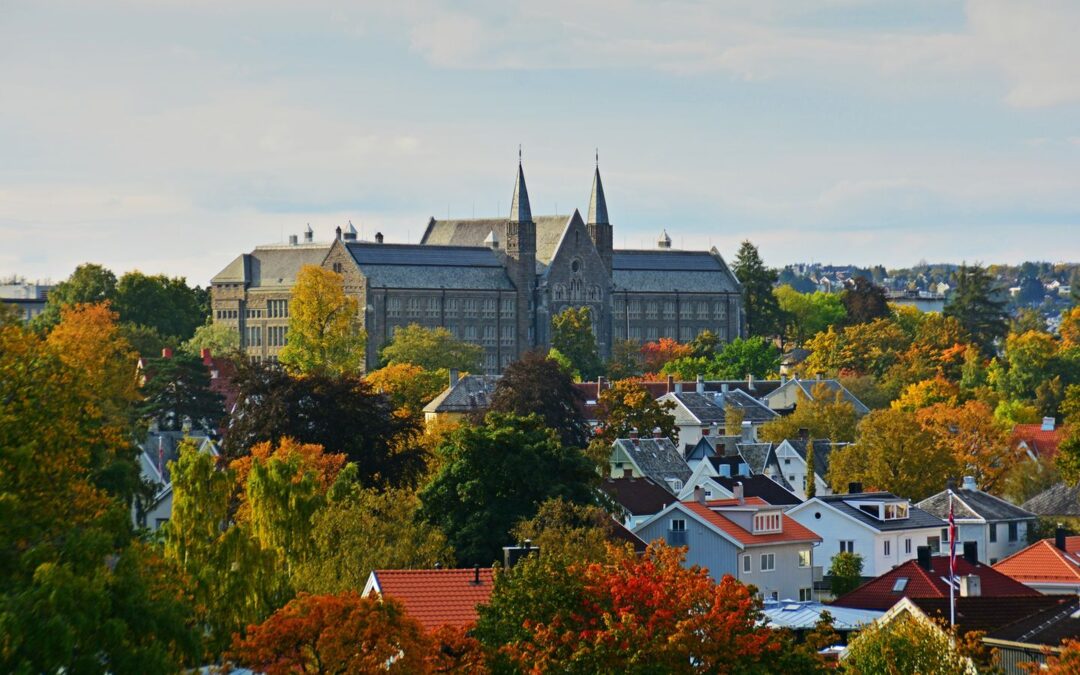 Norwegian and French Universities white paper on skills for the twin transition: Enhancing European Universities’ engagement