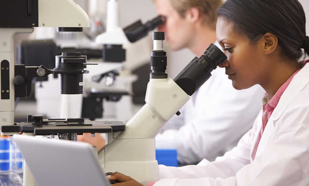 Germany : New Pact for Research and Innovation