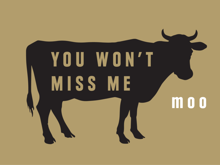 Scottish biotech Enough raises €40M to scale its plant-based protein production