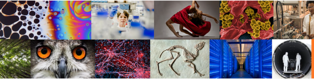 UKRI : New deal for postgraduate research: response to the call for input