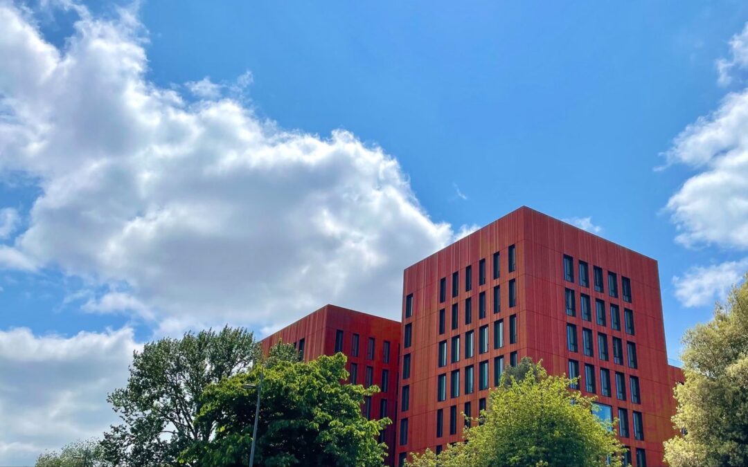 University of Warwick and Ukrainian Leadership Academy join forces for pioneering summer school programme