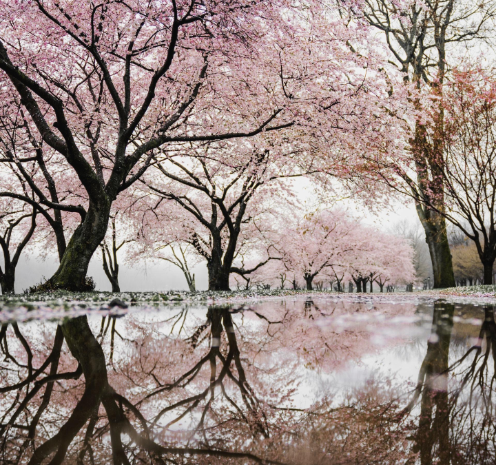 Globalstars call for projects with Japan