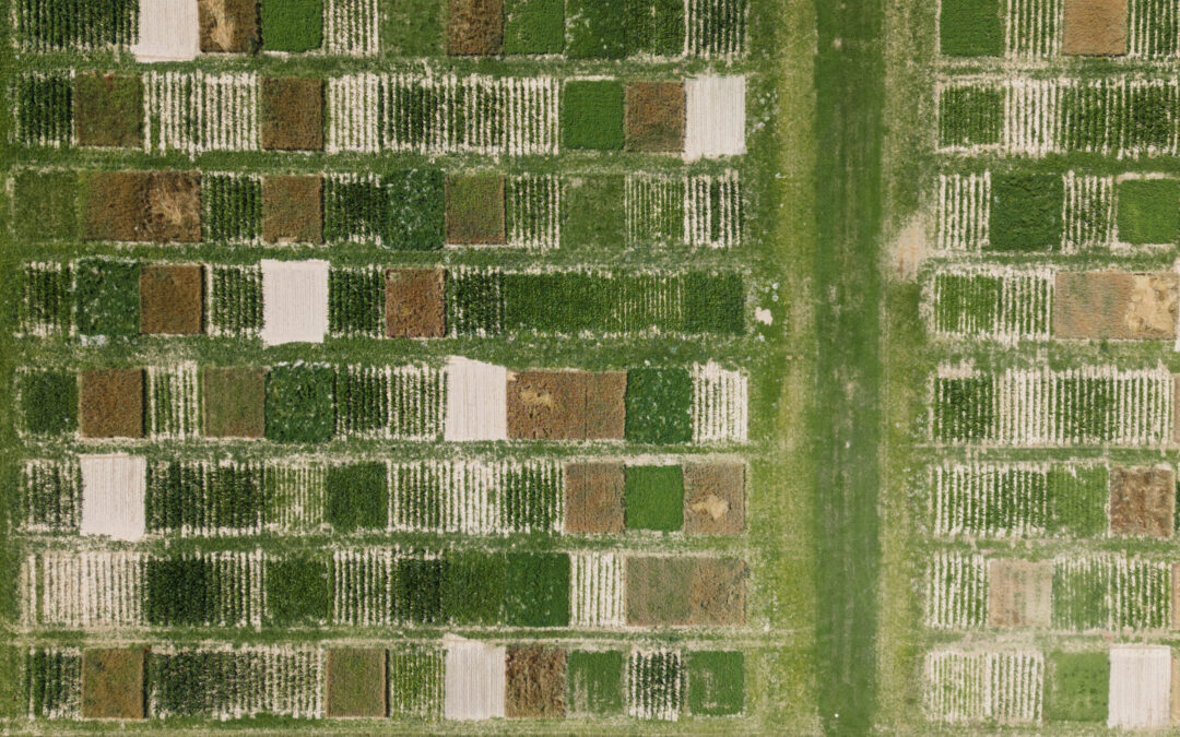 Hybrid Event: Nature-based solutions to increase carbon sinks on land, 21/09/2023