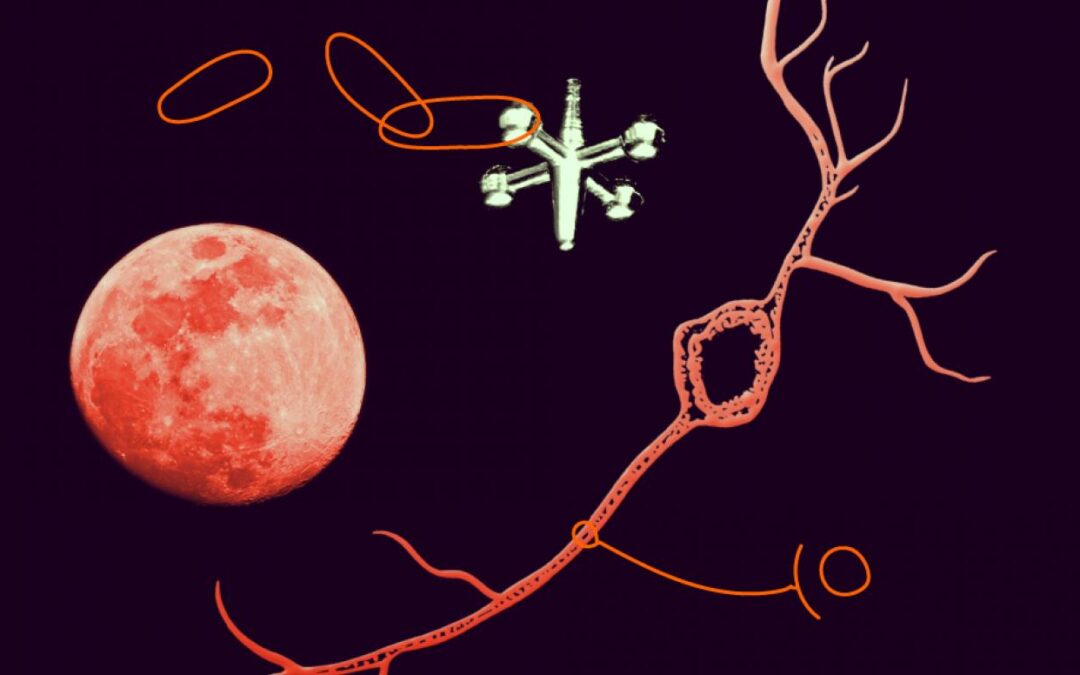 New information packages for MSCA fellows and staff members published