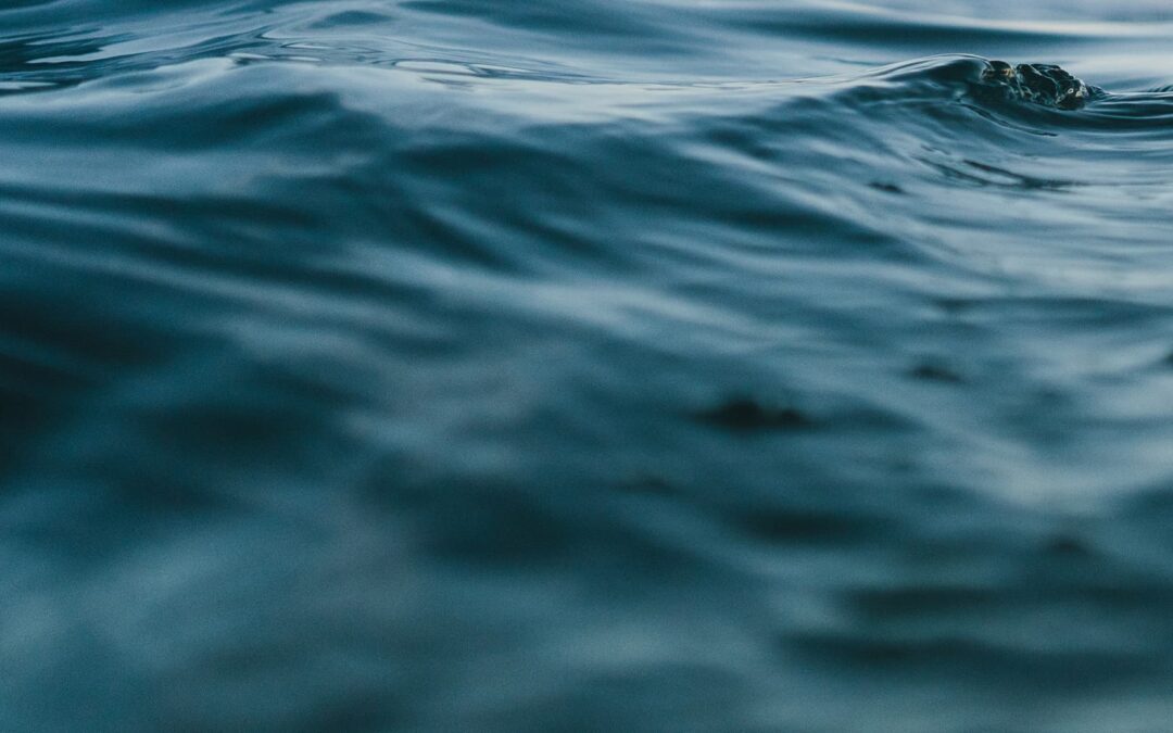 Bound4blue, the European technology developer of automated wind-assisted propulsion systems for the maritime transport based in Spain, has secured a €15.9M Series A funding round led by GTT Strategic Ventures