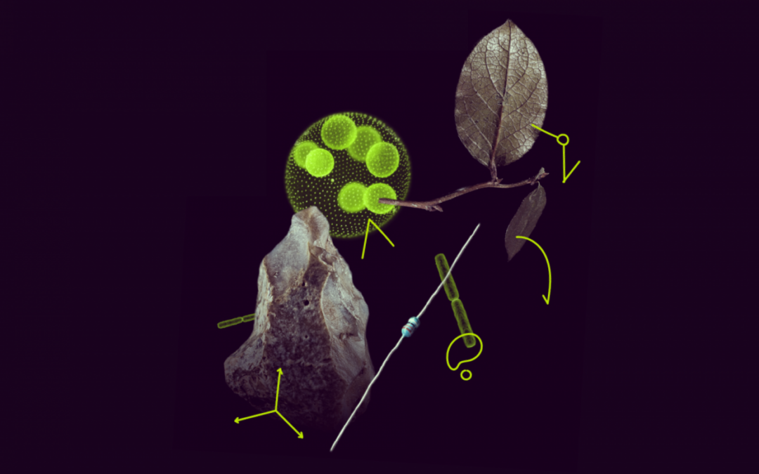 MSCA Postdoctoral Fellowships 2023 receives 8,039 proposals