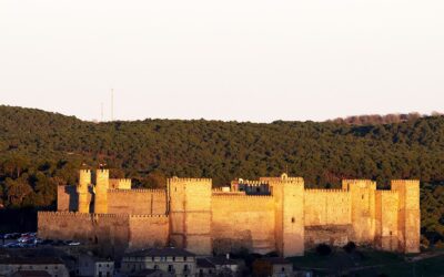 High-level Rural Policy Forum “Shaping the future of rural areas” takes place on 27-29 September in Sigüenza, Spain