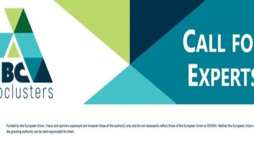 AIBC EUROCLUSTERS – The Call for Expression of Interest for External Experts