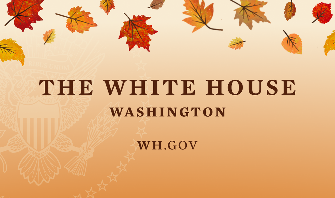 US and Singapore to launch bilateral cooperation on AI governance