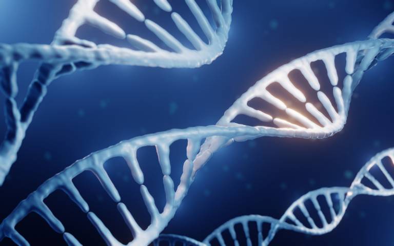 UCL spinout Orchard Therapeutics to be acquired by Kyowa Kirin for $477M