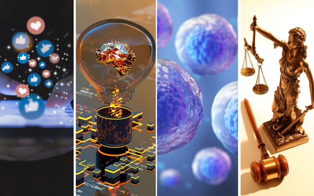 ERC: Public Engagement with Research Award