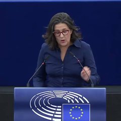 French MEP suggests approach to lift the Horizon Europe and Erasmus funding ban on Hungarian universities