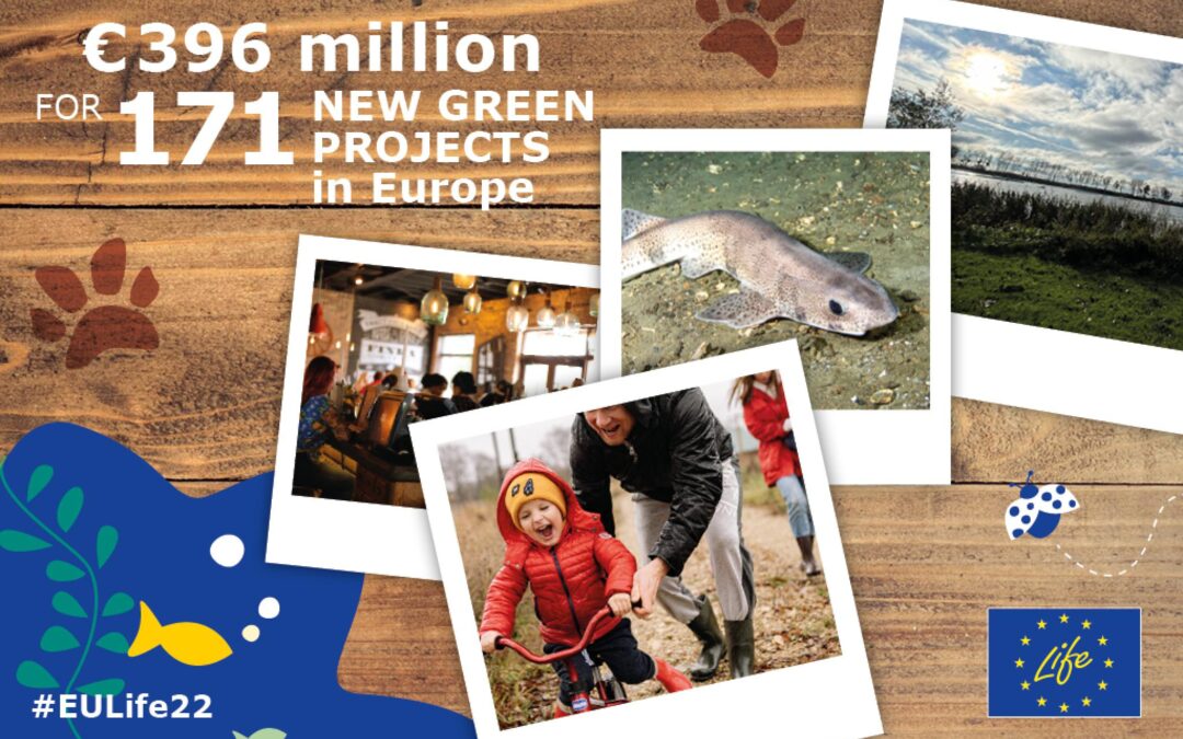 EUR 396 million allocated to nature, circular economy, climate action and clean energy transition projects under the LIFE Programme