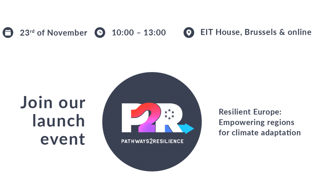 Pathways2Resilience Call for Proposals launch event, 23/11/2023