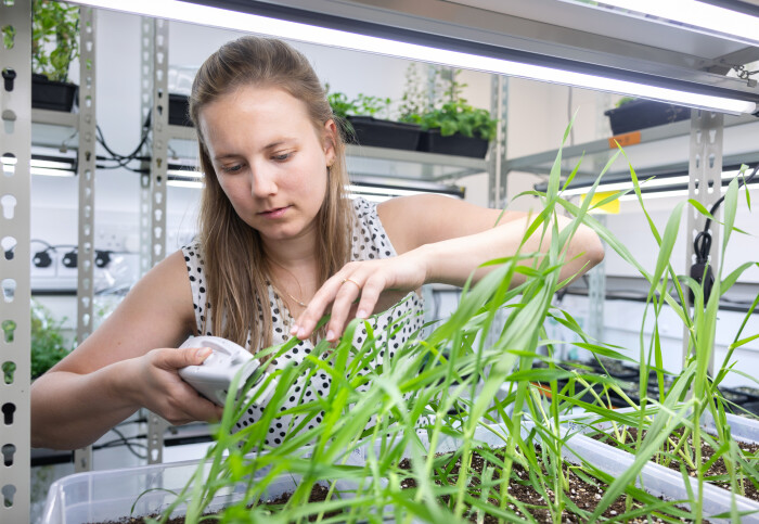 Imperial leads accelerator initiative to turn AI research into new companies