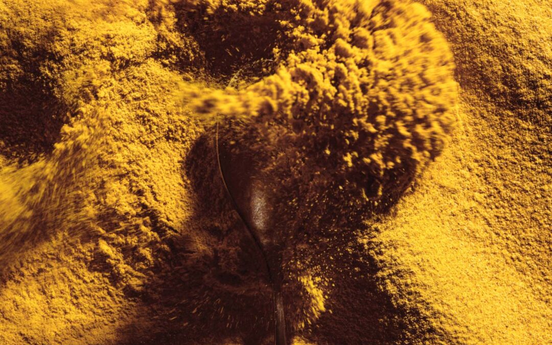 Solar Foods raises €8M Series B to develop food from air