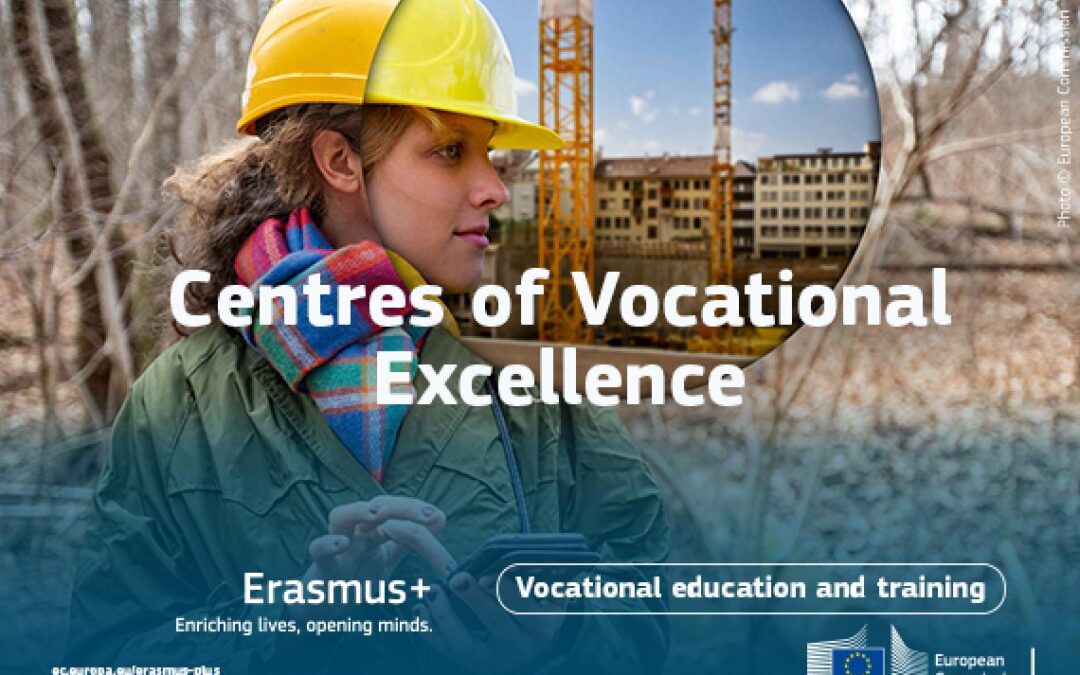 Centres of Vocational Excellence 2024 call: what you need to know to apply