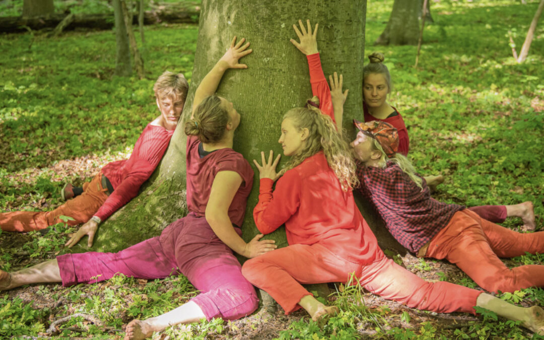 Perform Europe: Call for Partnership Projects Exploring Cross-border Touring