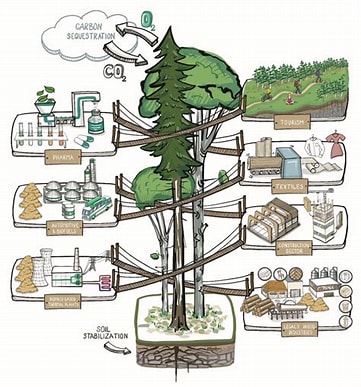 Save the date: Bioeconomy Changemakers Festival to take place in Brussels on 13 – 14 March 2024