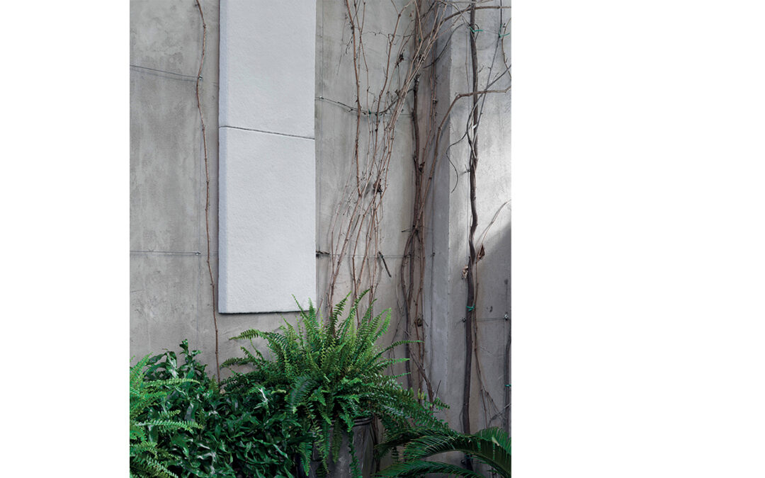 Italian startup Mogu raises €11M for mycelium-based biotech expansion