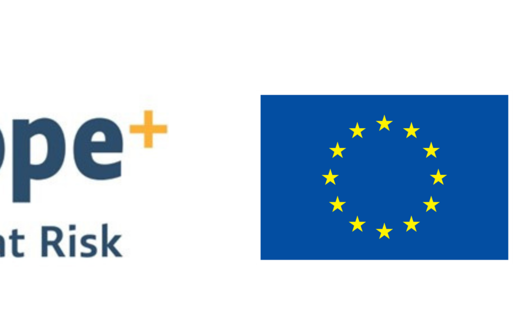 Collaboration with industry and society to support researchers at risk, 21/02/2024 Webinar