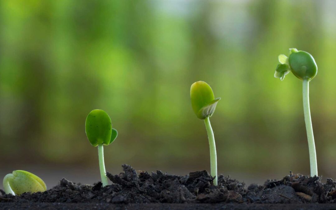 Interreg NEXT MED: 1st Call for Proposals