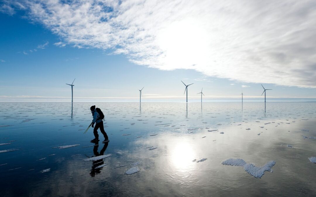 EU Mission Label awarded to 23 cities