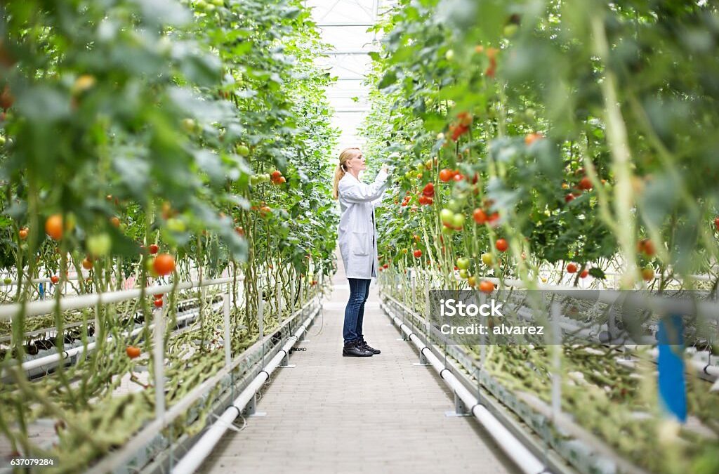 Request for Proposal for EIT Food Challenge Labs Ukraine 2024 and 2025