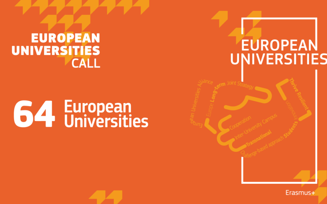 Empowering excellence: EuropeanUniversities Alliances as laboratoriesfor success stories