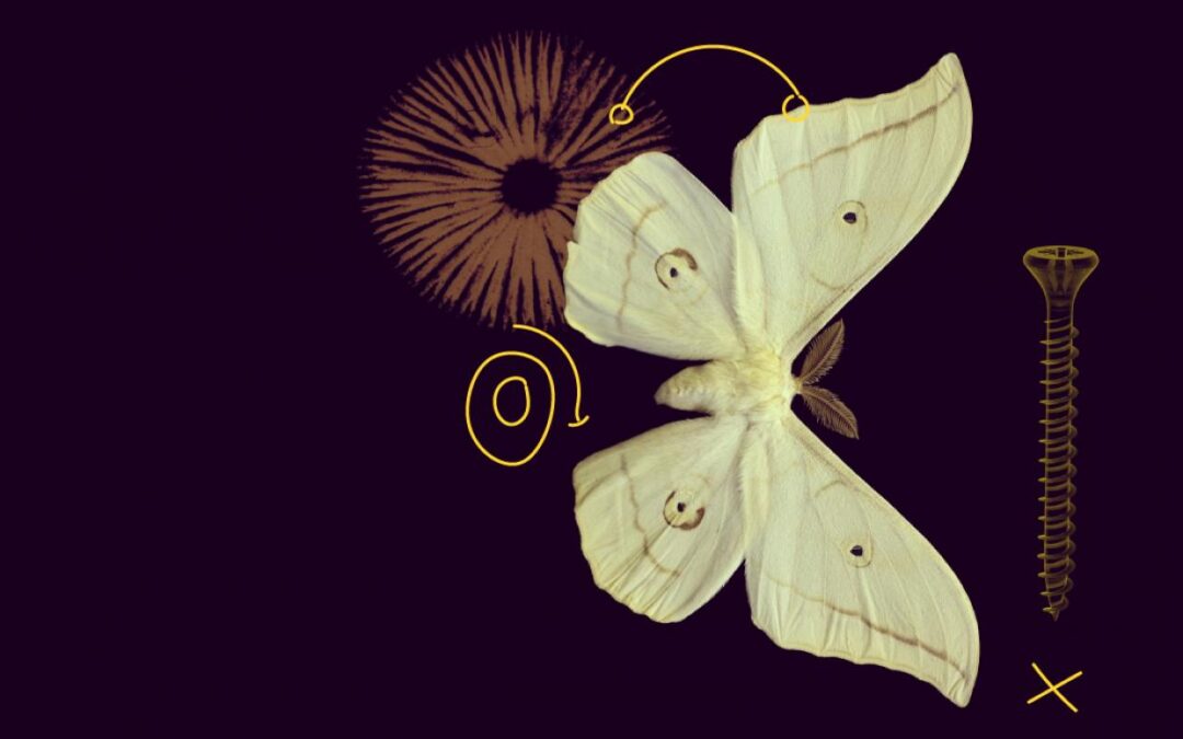 MSCA co-funds doctoral training and postdoctoral fellowship programmes with €96.2 million