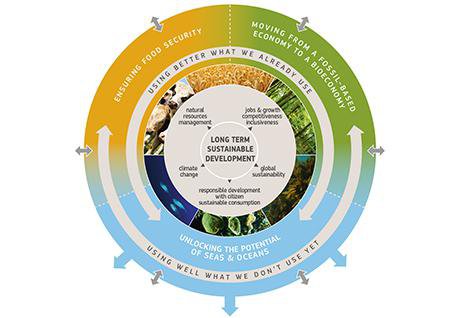 EC presents report on ‘Increasing engagement in EU bioeconomy policy’