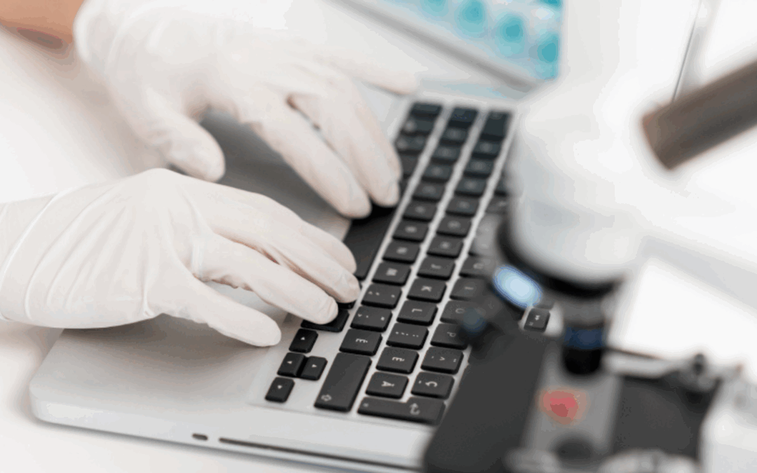 European Union and Singapore discuss reinforcing digital cooperation through Digital Partnership Council