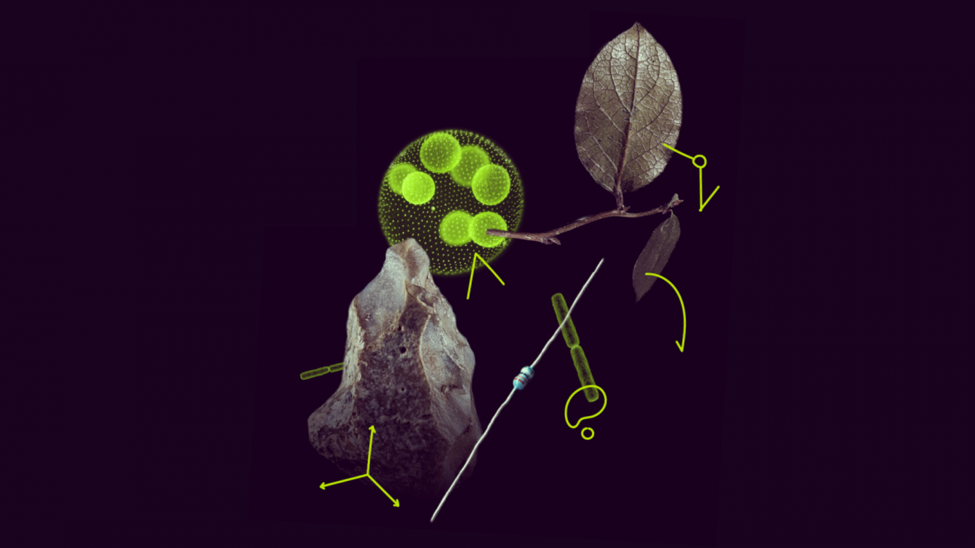 MSCA Postdoctoral Fellowships 2025 receives record number of 17,058 proposals