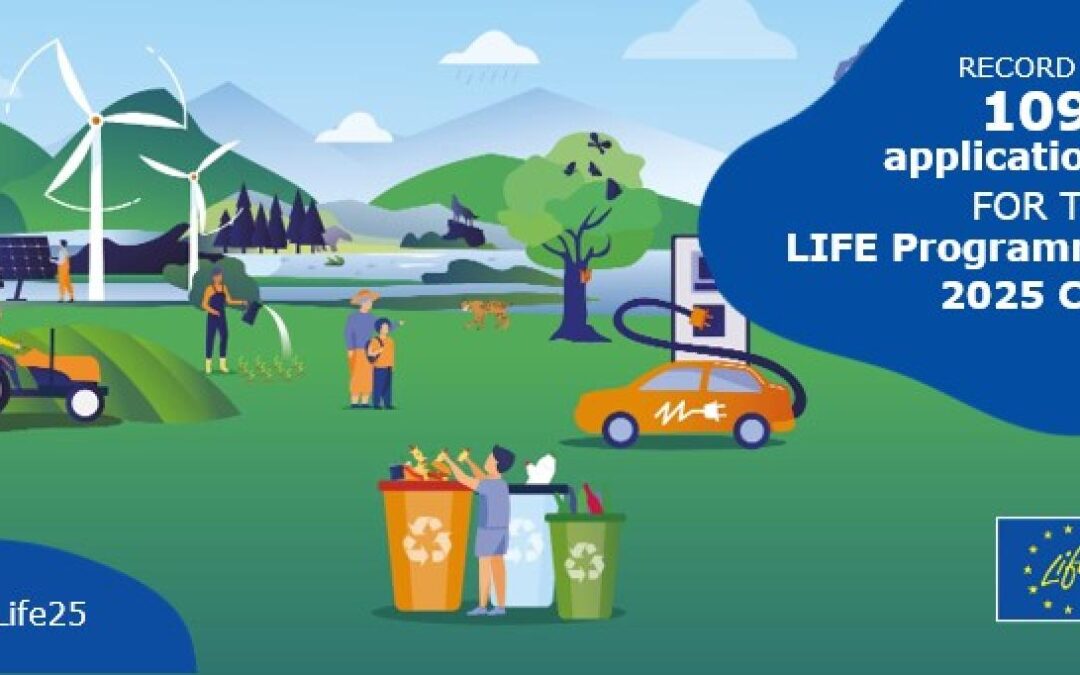 Science Europe publishes recommendations for Horizon Europe-ECF link