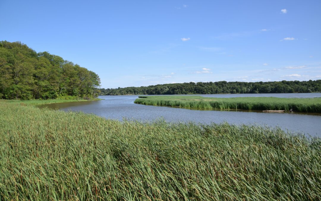 Commission presents new Bioeconomy Strategy to drive green growth, competitiveness and resilience across Europe