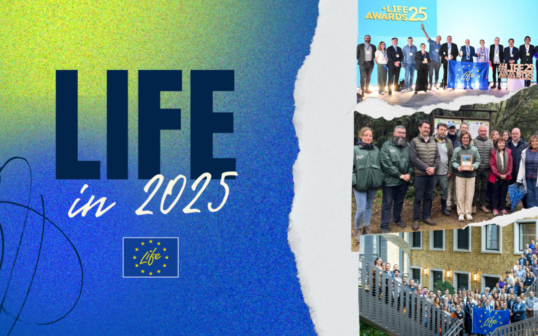 LIFE in 2025: a year of climate, environment and clean energy action